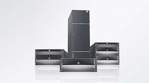 Hybrid flash storage